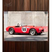 Металлическая табличка Shelby Cobra 289 Factory Team Car